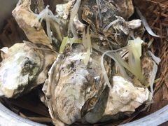 -臻炙大舍烤串(天龙家园店)