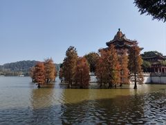 -顺德美的万豪酒店-万豪中餐厅