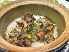 -红星光发煲仔饭(文海店)