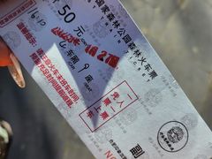 -合肥滨湖国家森林公园