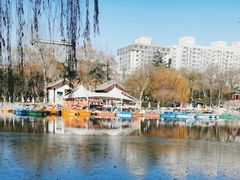 -莲湖公园