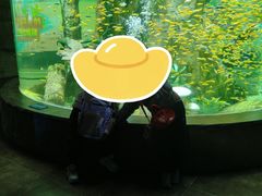 -合肥海洋世界