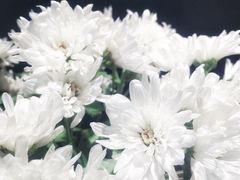 -VOYAGE COFFEE(北锣鼓巷店)