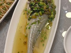 -老绍兴养和饭店(向阳不夜城店)