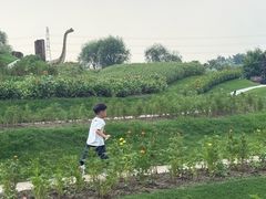 -南通洲际绿博园