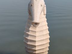 -呼兰河口湿地公园