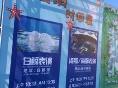 -秦皇岛乐岛海洋王国