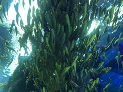 -哈尔滨波塞冬海底世界