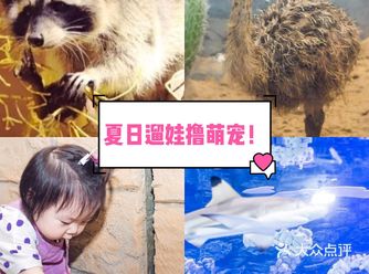 亲子爆款|上海必打卡的亲子乐园!团购价更低!