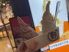 -野人牧坊Gelato(天津南开大悦城店)