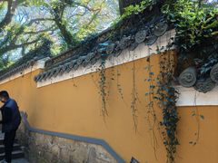-普陀山风景名胜区-法雨禅寺