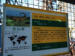-昆明动物园