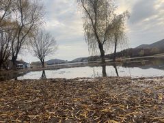 -长广溪湿地公园