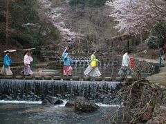-磐安舞龙峡景区
