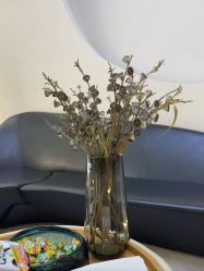 -VE专注问题肌·赛诺龙&科学美肤中心