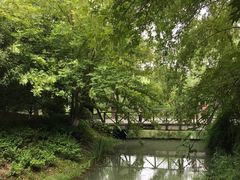 -青枫公园