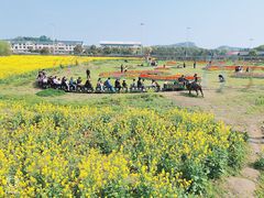 -苏州太湖西山岛开心农场