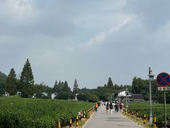 -灵顺寺