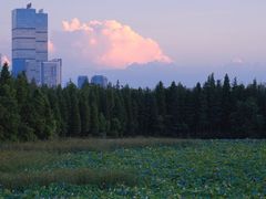 -艾溪湖湿地公园