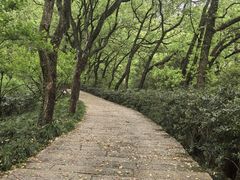 -宁波市保国寺古建筑博物馆