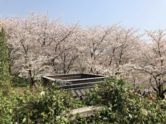 -苏州上方山国家森林公园