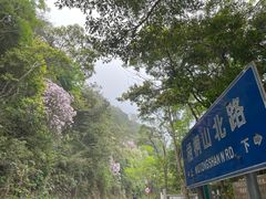 -梧桐山风景名胜区