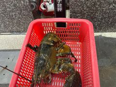 -蚝专家(北滘店)