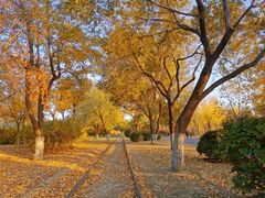 -永定河休闲森林公园