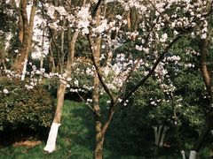 -环城公园-琥珀潭