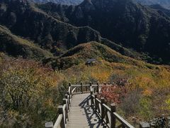 -大岭沟猕猴桃谷风景区