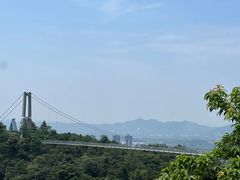 -南丹山森林王国