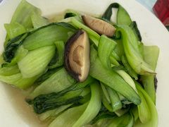 -绿野餐厅(上海动物园店)