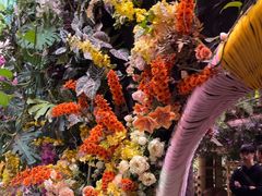 -正佳雨林生态植物园