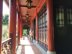 -顺峰山公园