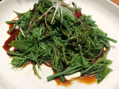 南瓜尖-马仕玖煲·融合菜·酥不腻烤鸭(人大店)
