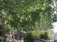 -陕西师范大学(雁塔校区)