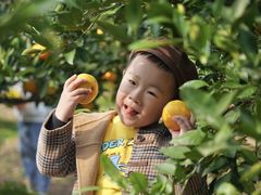 -前小桔亲子创意农场·草莓采摘·露营烧烤