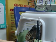 -瑞派福兴宠物医院犬猫全科·骨科·中西医结合(河东店)