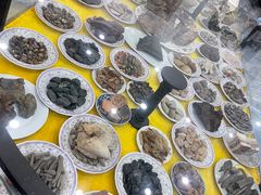 -游龙石文化科普馆