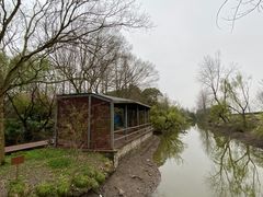 -上海滨江森林公园