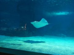 -常州海昌海洋探索馆