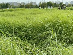 -汉长安城未央宫国家考古遗址公园