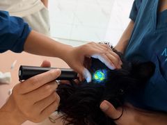 -嘉馨宠物医院·CT影像转诊·心脏科·犬猫全科诊疗中心(下沙大学城院区)