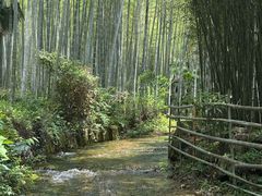 -黄公望隐居地