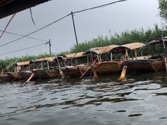 -白洋淀景区