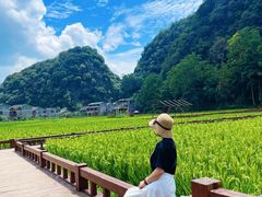 -高荡千年布依古寨旅游景区