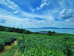 -东山风景区(洞庭东山)