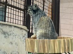 -青藏高原野生动物园