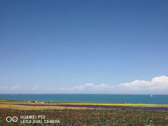 -青海湖国家重点风景名胜区