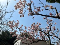 -无锡梅园公园